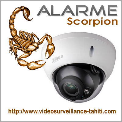 videosurveillance-tahiti.com